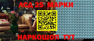 амф Кандалакша